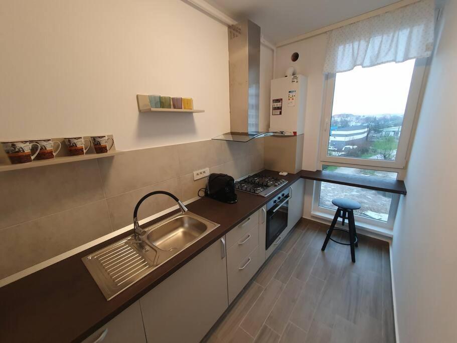 דירות טימישוארה New Luxury Flat Near City Center מראה חיצוני תמונה